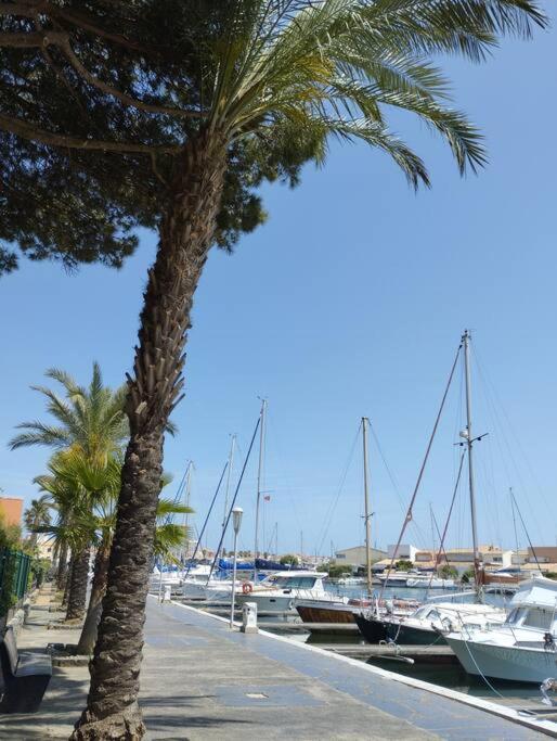 Studio 4 Couchages Avec Piscine D'Ete Vue Port Agde Bagian luar foto